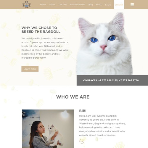 Dandellion Cats Website design project