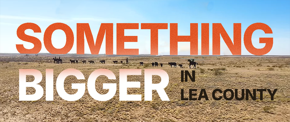 Film Lea County