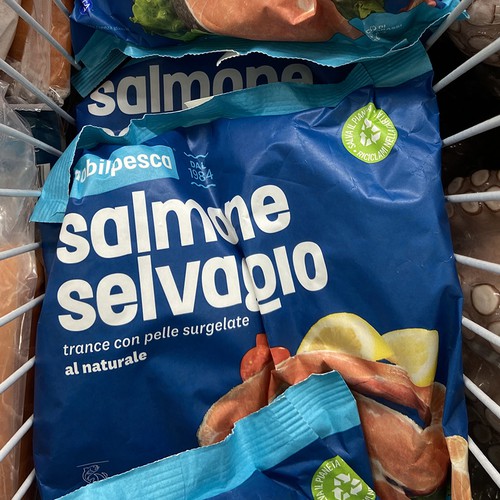 Mobilpesca Brand Design