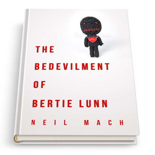 Book Cover: Novel
