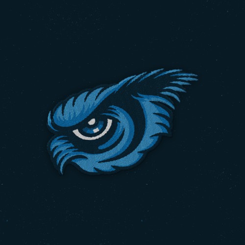 owl eye patch design
