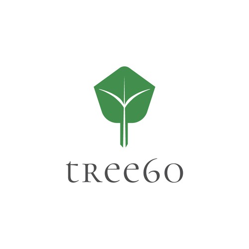 Logo concept for Tree 60