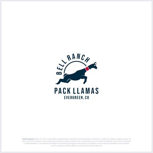 Bell Ranch Pack Llamas