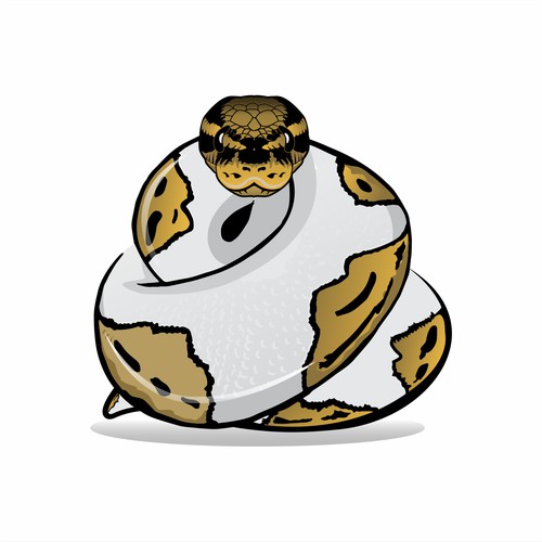 Logo design of Ball Python Norris Reptiles