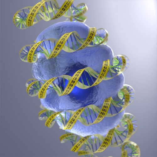 cell and dna measuring tape