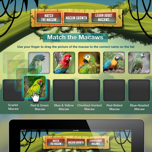 Macaws! A Simple Educational Game App About Macaws In The AmazonRainforest