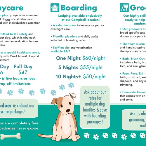 Doggy Daycare Brochure