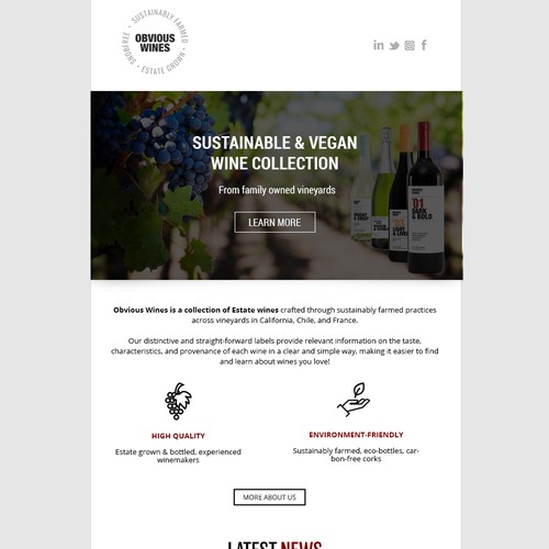 Responsive email template