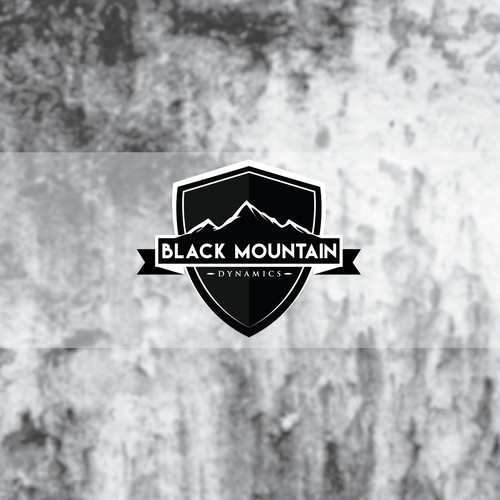 Black Mountain Dynamics Security Company