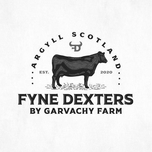 Fyne Dexters by Garvachy Farm