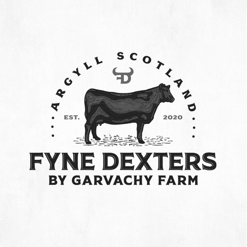 Fyne Dexters by Garvachy Farm