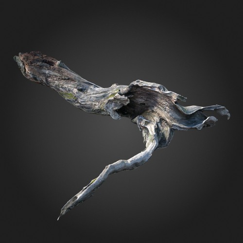 3d trunk