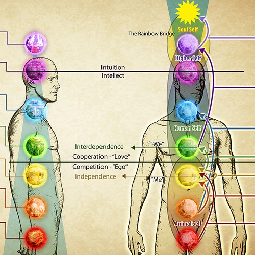 Energy Field and Chakras