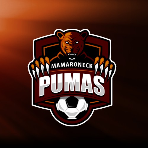 Soccer team logo