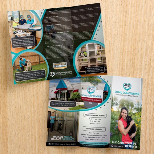 Engaging Brochure for your Animal Hospital & Pet Resort