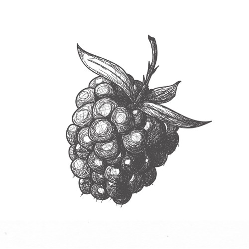 The Garden Berry – Hand-Illustrated Branding & Label Design