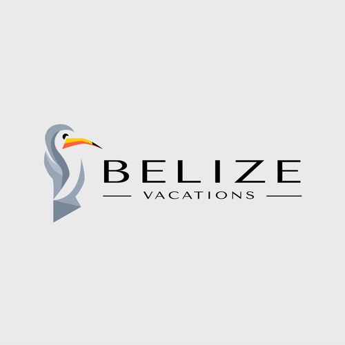Tropical Logo Design – Vibrant & Playful!