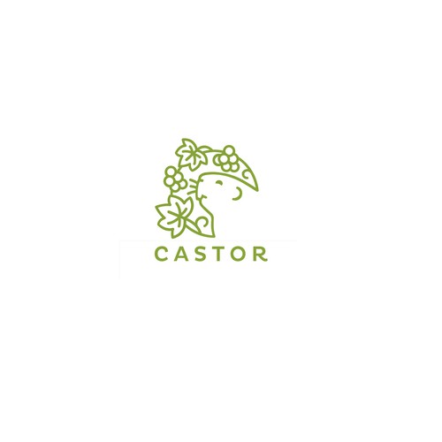 Castor Wine Production Consulting