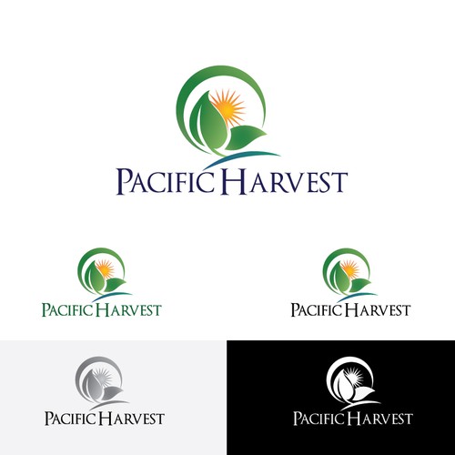 Create a fresh and simple logo for Pacific Harvest, an oriental vegetable packaging company