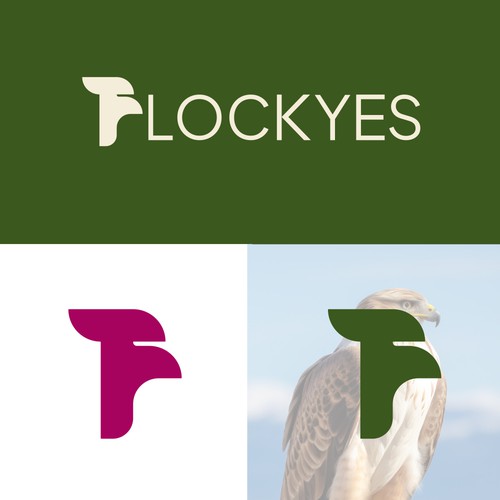 Logo concept for flock yes