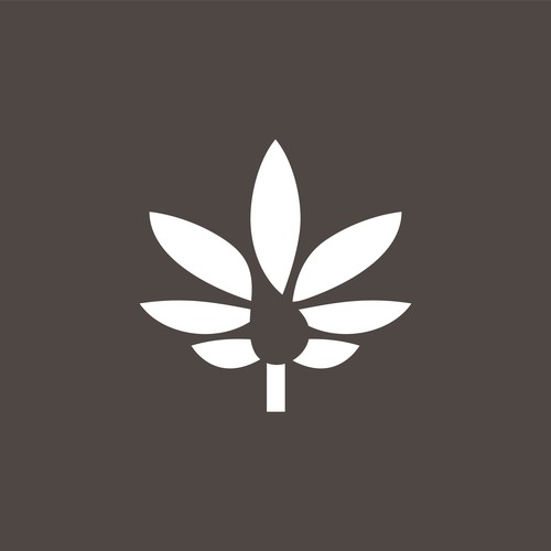 Canna leaf