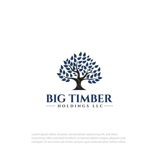 big timber logo