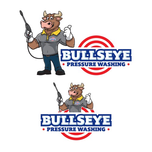 Bullseye Pressure Washing