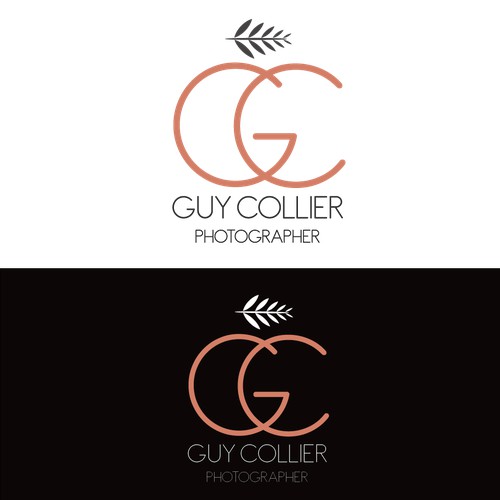 logo concept for a photographer