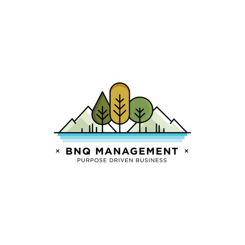 BNQ Management