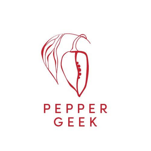 Pepper Geek - Concept Design