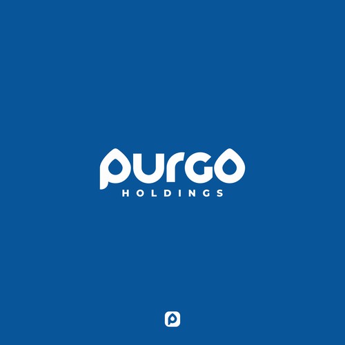 Purgo Holdings