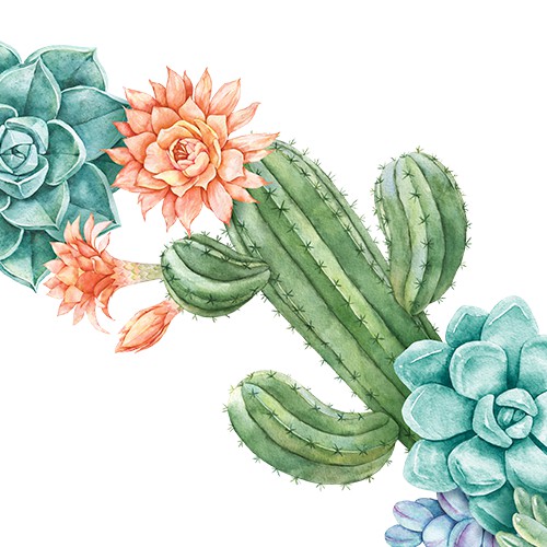 Botanical hand drawn design. Hand-drawn floral cacti watercolor illustration for greeting card, invitation, thank you card.