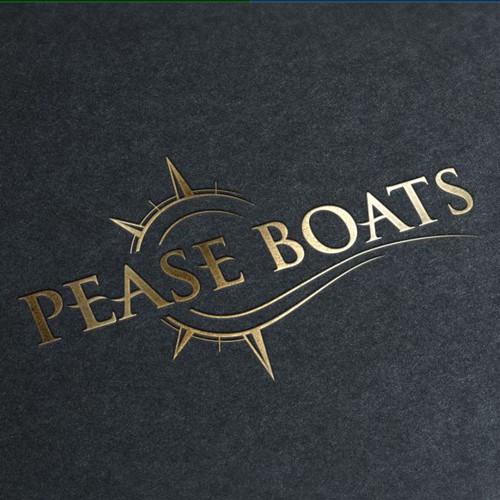 Custom Boat Builder looking for a new logo!