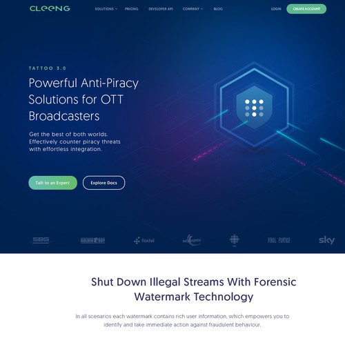 SaaS company inner page design