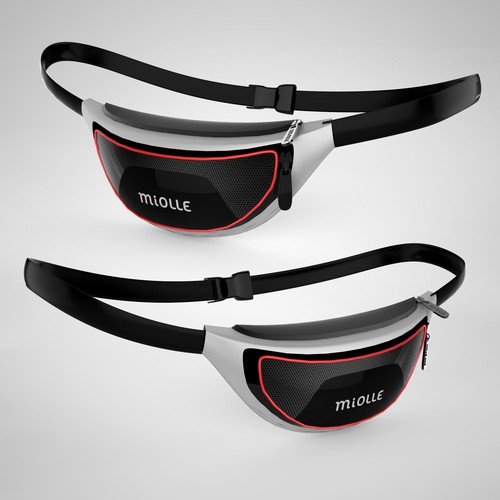 Waist Bag ( Passport, Money ) belt 