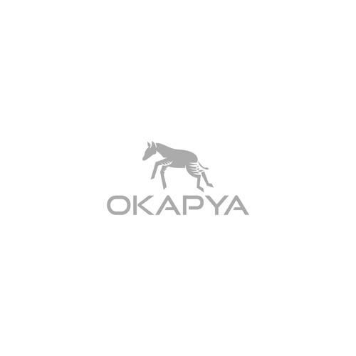 Logo concept for OKAPYA