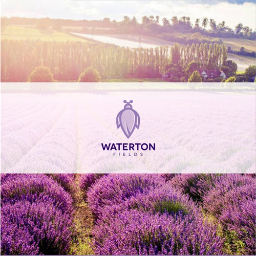 Lavender field logo