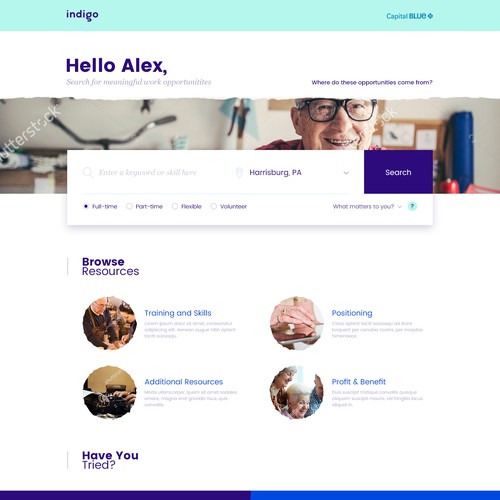 Search Homepage Design for Indigo