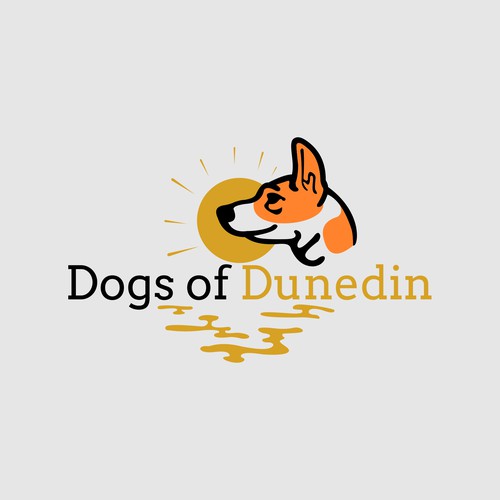 Dogs of Dunedin