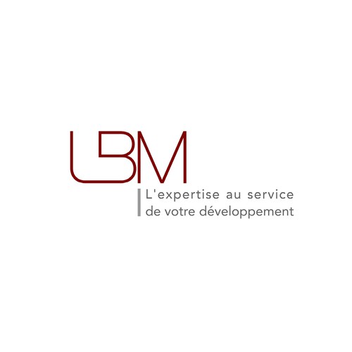 GUARANTEED : Logo design for accounting firm & auditorship