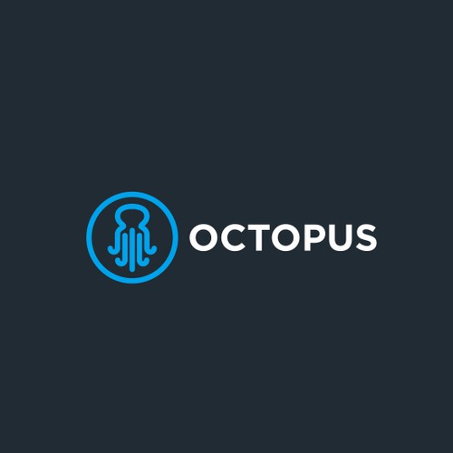 Octopus IT company.