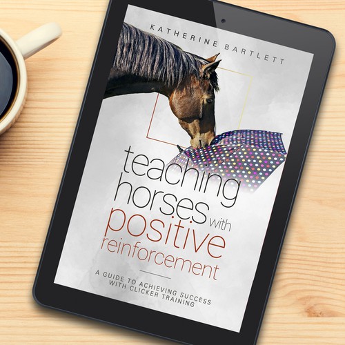 Thin logo concept for Teaching Horses Guide Book