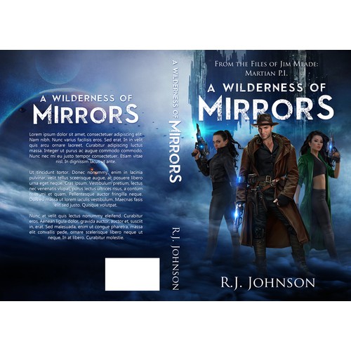 Jim Meade: A Wilderness of Mirrors