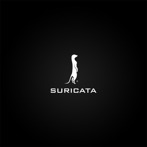 Looking for a logo for Electronic Music Production Project Suricata