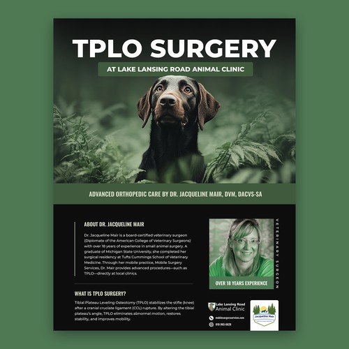 Dogs Treatment Flyer Design