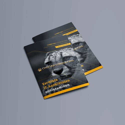 A4 Size Brochure Design Concept