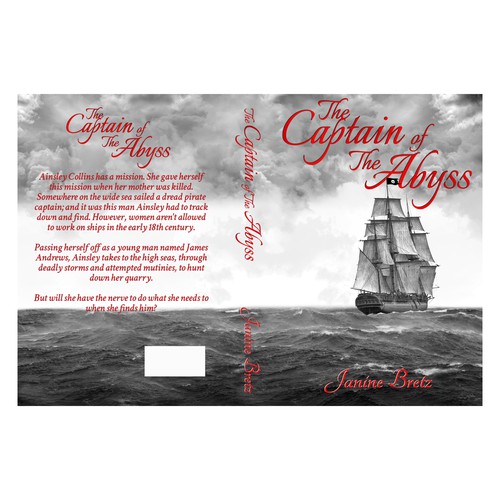 Book cover for pirate novel
