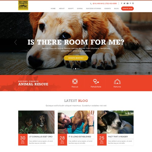 Dog website.