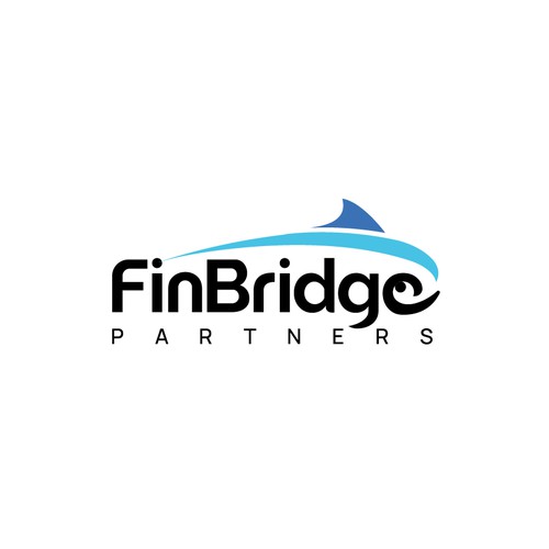 FinBridge Partners – The Flow of Financial Innovation