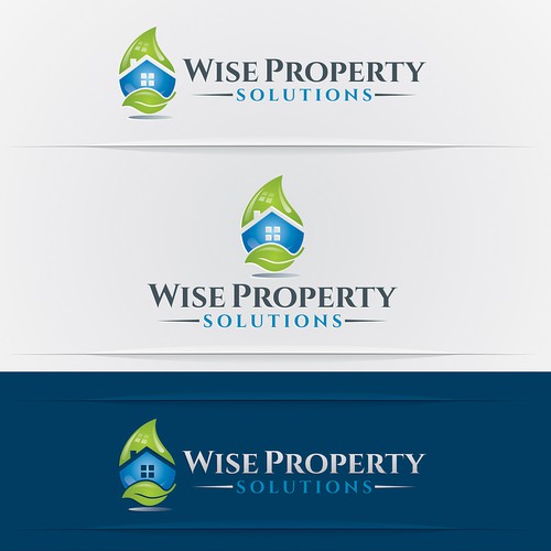 logo and business card for Wise Property Maintenance  or Wise Property Solutions